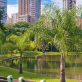 Os Bairros Mais Valorizados para Morar com Luxo em Goiânia