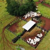 Fazenda 19 Alqueires - Goianésia