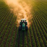 Do campo à capital: por que Goiânia entrou no radar patrimonial das famílias do agronegócio